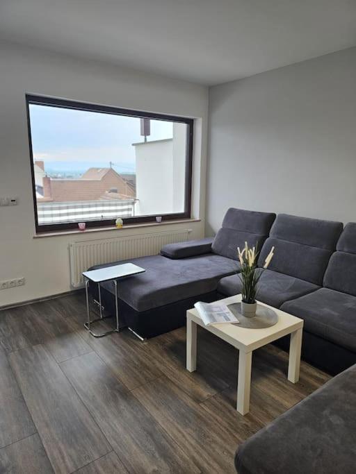 Gemuetliche Ferienwohnung Mulheim-Karlich Exterior photo